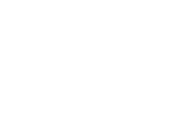 The Phoenix Alliance